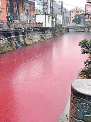 溪流河水明顯被染紅。（互聯網圖片）