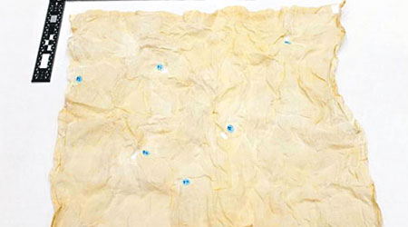 專家利用染有鄧南遮精液的手帕（圖）重建出其DNA藍圖。（互聯網圖片）