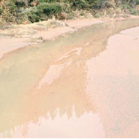 「定南水」上游河水嚴重污染，被指為「死河」。（互聯網圖片）