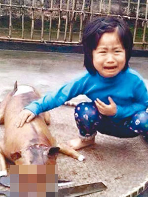 女童撫着狗屍大哭。（互聯網圖片）