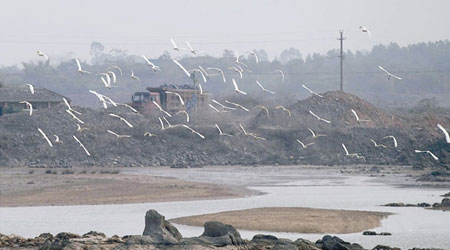 白沙鎮施工車輛來回穿梭，嚇得海鷗四處飛散。（互聯網圖片）
