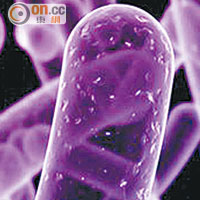 超級細菌抗碳青霉烯腸桿菌