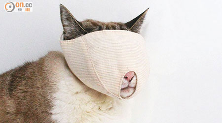 頭套能將貓的眼睛及臉整個包起來。