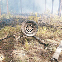 飛機殘骸跌落在叢林。（互聯網圖片）