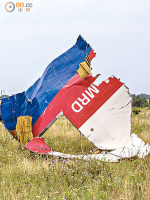 MH17客機的殘骸墜落田野中。