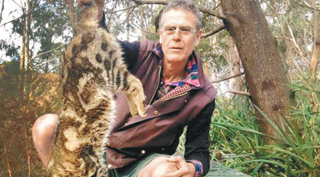澳洲流浪貓因危害生態而遭獵殺。（互聯網圖片）