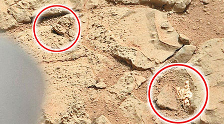 火星上出現兩副狀似骸骨的物體（紅圈示）。（互聯網圖片）