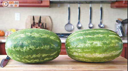 兩個西瓜