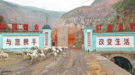 山西前首富張新明的煤礦在華潤電力接手後淪為農民放羊的地方。