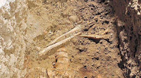學者數年前在地下墓穴發現多具遺骸，當中可能包括蓋拉爾迪尼。