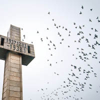 每年南京大屠殺紀念館都會放和平鴿，象徵珍惜和平。（中新社圖片）