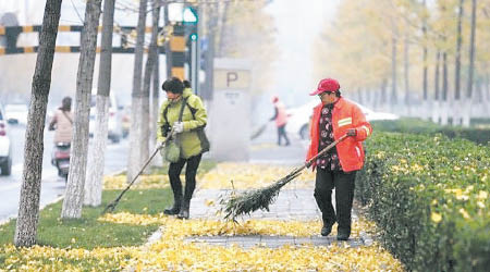 清潔工人清理落葉。（互聯網圖片）