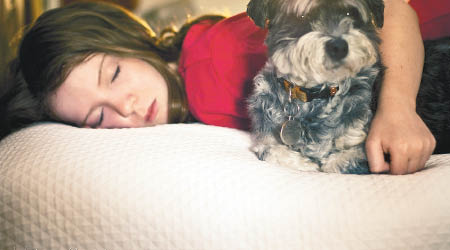 調查指主人與寵物同眠，有助改善睡眠質素。（互聯網圖片）