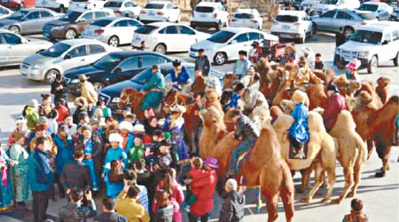 牧民騎上駱駝前往旗政府。（互聯網圖片）
