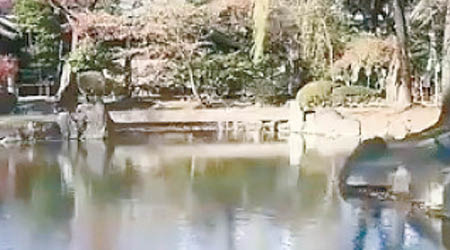 靖國神社內插在池塘邊的旗幟已被移除。（互聯網圖片）