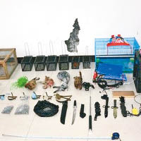 警方展示查獲的捕獵工具等。（互聯網圖片）