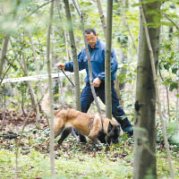 警方在叢林發現人體殘肢。（資料圖片）