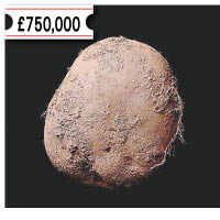該幅薯仔作品以逾八百萬港元成交。