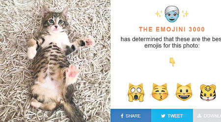 貓貓的照片，解碼器除了建議用代表貓的表情符號外，亦建議用老虎。