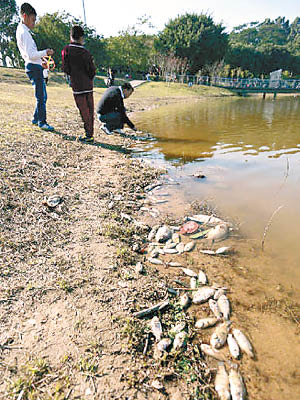 幾名垂釣人士在現場照樣揮竿釣魚。