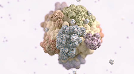 研究人員以圖片解釋新療法如何對抗癌細胞。（英國癌症研究所圖片）