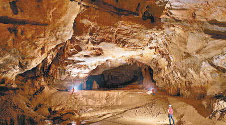天坑洞穴內的奇異景觀。