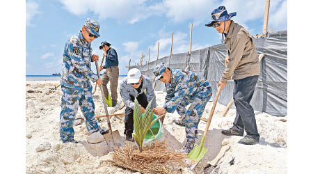 海南三沙市展開大規模綠化島礁植樹行動。（中新社圖片）