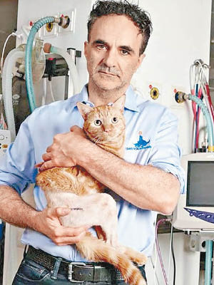 菲茨帕特里克成功為貓貓完成手術。（互聯網圖片）