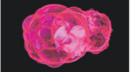 圖為模擬鐵-60在超新星爆炸後向外射出。（互聯網圖片）