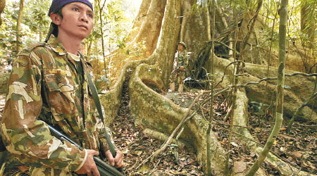 泰國護林員全副武裝守護森林。（資料圖片）