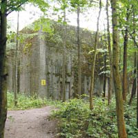 傳聞藏有琥珀廳的廢棄碉堡。