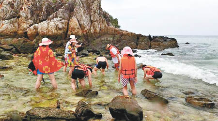 有遊客在島上檢拾珊瑚。（互聯網圖片）