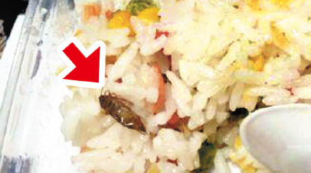 揚州炒飯內竟附蟑螂（箭嘴示）的圖片曝光。