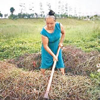 圖為事主楊女士。（互聯網圖片）