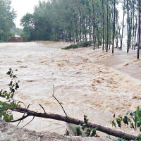 武漢新洲區河堤發生潰口。（中新社圖片）