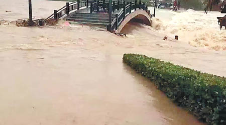 安徽桐城龍眠河河水暴漲。