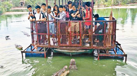 中國遊客乘漂流筏餵鱷魚。（互聯網圖片）