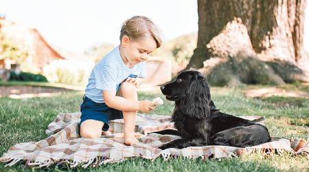 小王子餵食物予黑色小狗。（互聯網圖片）