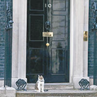 未知格拉德斯通會否跟首相府寵物貓拉利成為好友？
