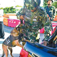 隨着峰會臨近，上海武警首次出動警犬參加保安任務。（互聯網圖片）