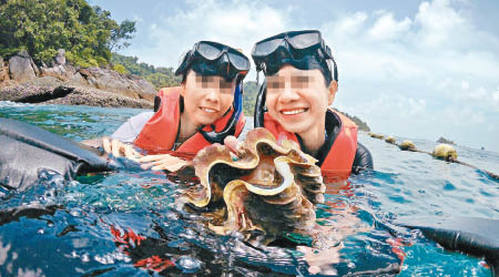 涉事遊客拾起海中巨蚌。