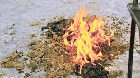高原內陸地區民眾會燒犛牛糞便來煮飯和取暖。（互聯網圖片）