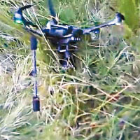 無人機應聲墜落草叢。（互聯網圖片）