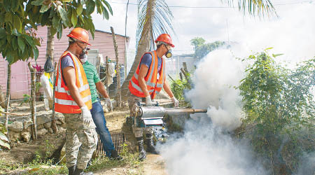 多明尼加共和國加強滅蚊。