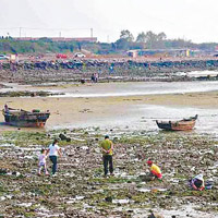資源受損<br>魚鳴嘴漁業資源受破壞，傳統漁村難復再。