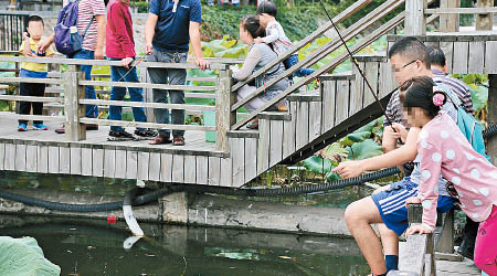遊客在東湖景區賞魚湖中垂釣錦鯉。