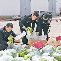 中國日前宣布解除菲律賓水果等進口禁令。（互聯網圖片）