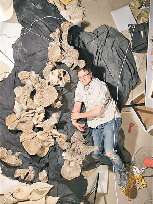 艾略特於多年前在昆士蘭發現恐龍骸骨。