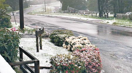 維多利亞省氣溫急降，更罕有下雪。（互聯網圖片）
