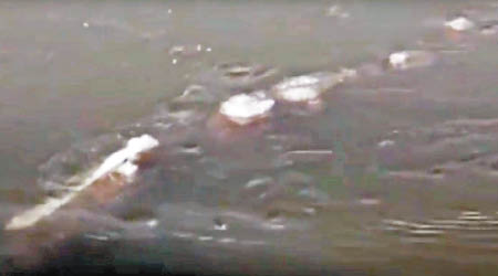 有土地管理局人員在阿拉斯加河道間發現疑似水怪的物體。（互聯網圖片）